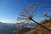 Giro ad anello sul MONTE BARRO da Galbiate il 3 dicembre 2017 - FOTOGALLERY